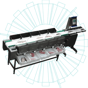 Сортировочные весы CWS 303g